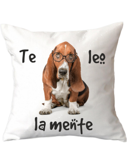 Cojín Blanco de 40x40cm 2