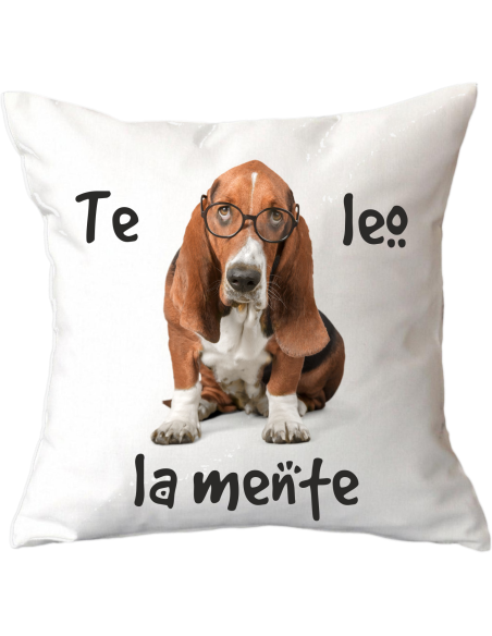 Cojín Blanco de 40x40cm