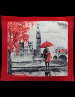 Cojín de peluche Rojo 2