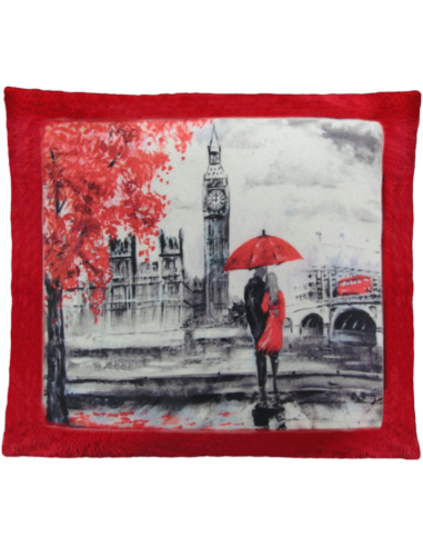 Cojín de peluche Rojo