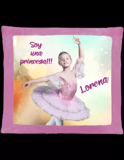 Cojín de peluche Rosa 2